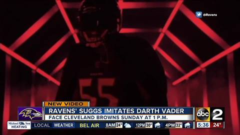 "Darth Sizzle" ready for the new Star Wars film