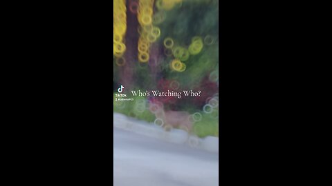 Who’s Watching Who?