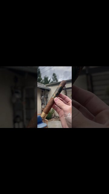 Smokin’ Bull & Flyin’ Feline #shorts #cigar #cigars #silly #trending