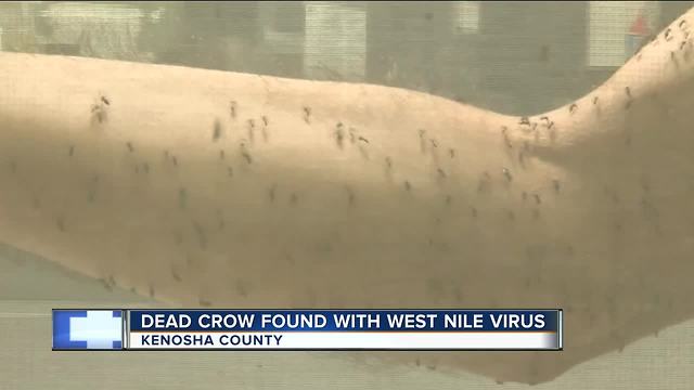 Two cases of West Nile reported in Wisconsin