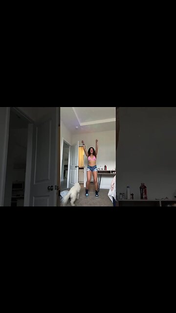 WHAT COLOR IS THE DOG