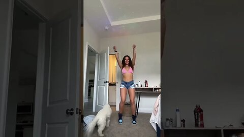 WHAT COLOR IS THE DOG