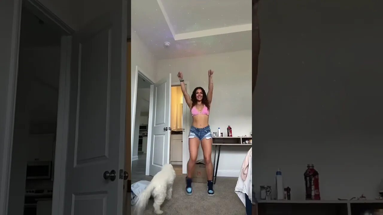 WHAT COLOR IS THE DOG