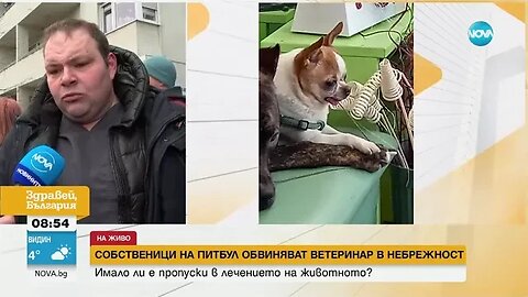Собственичка на починал питбул обвиняват ветеринар в небрежност