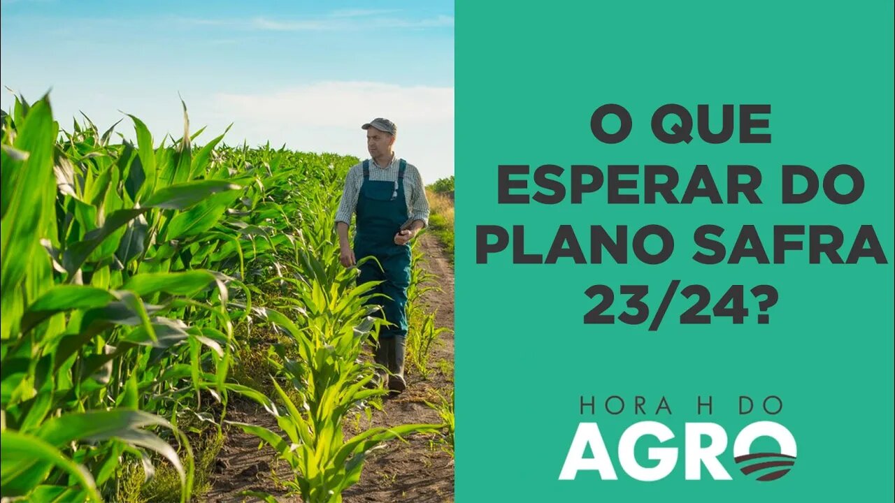 Plano Safra em maio: o que esperar da edição 23/24? | HORA H DO AGRO