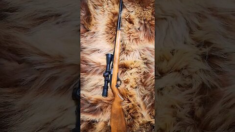 Marlin Model 60 Rimfire Rifle