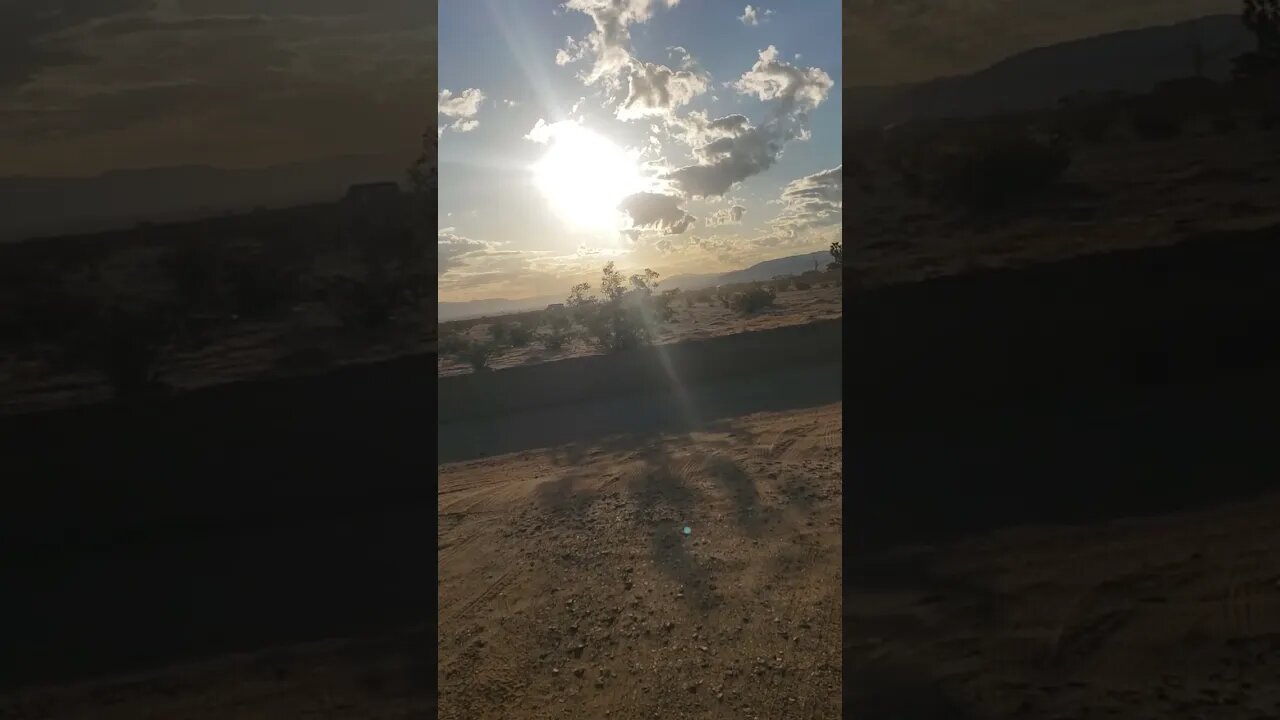 Tony Pizza Walk & Talk