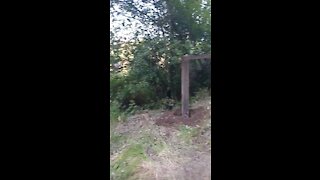 Upper fence line 2