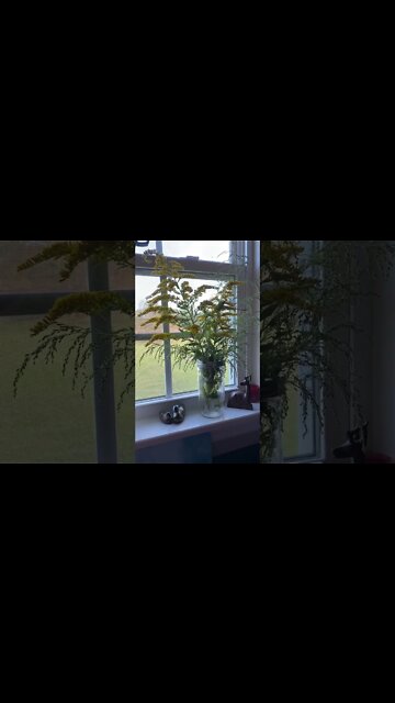 It’s Fall Y’all - I Think…