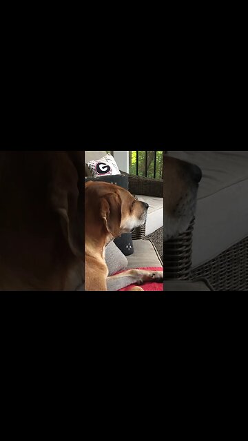 What’s That Smell?