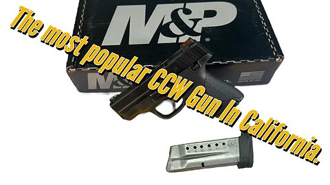 M&P Shield 9 Best CCW Gun?