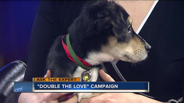 Humane Society spreads support through Double the Love Campaign