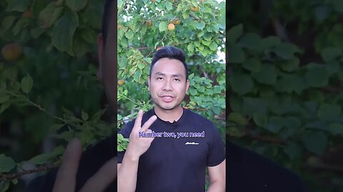 Tree doesn't bear fruit? There are 3 reasons #shorts #viral #fruit #gardening #planting #mrbeast