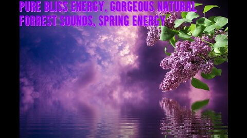 Pure Bliss Energy | Relaxing & Meditation Music| Gorgeous Natural Forrest Sounds | Spring Energy