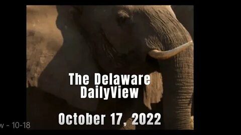 The Economy, Inflation, and Liquidity. Delaware DailyViews: October 18th, 2022