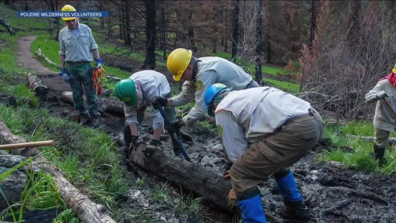 Volunteers repairing fire danger this weekend