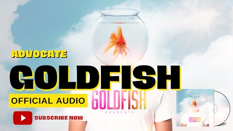Goldfish