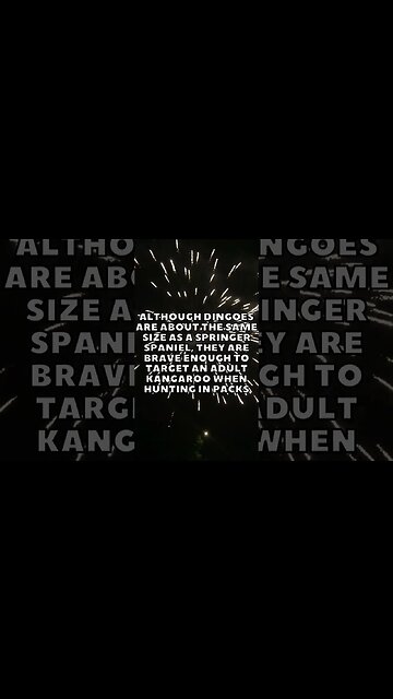 Incredible Random Facts That Will Expand Your Mind! [2023] #shorts #facts #viralshorts #fyp #life