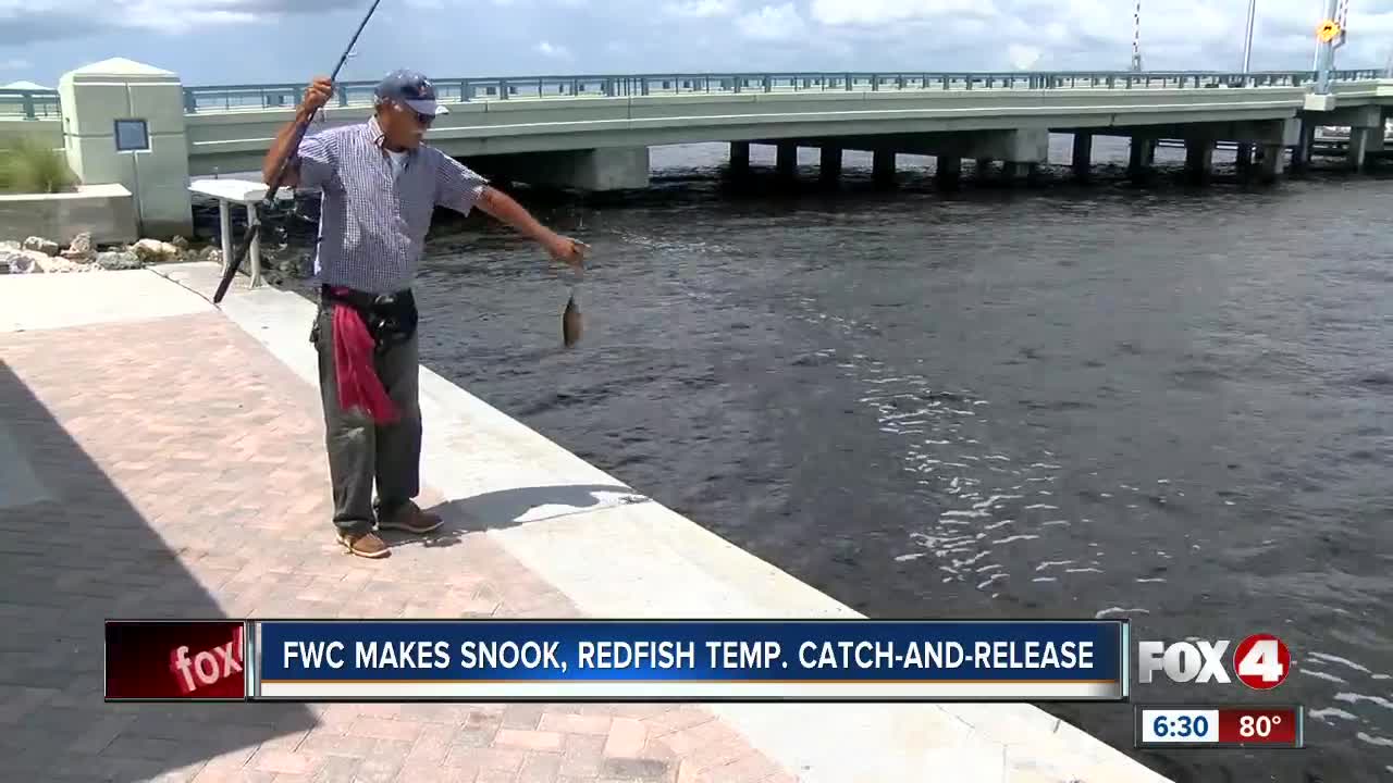 FWC: Catch & release only for snook and redfish