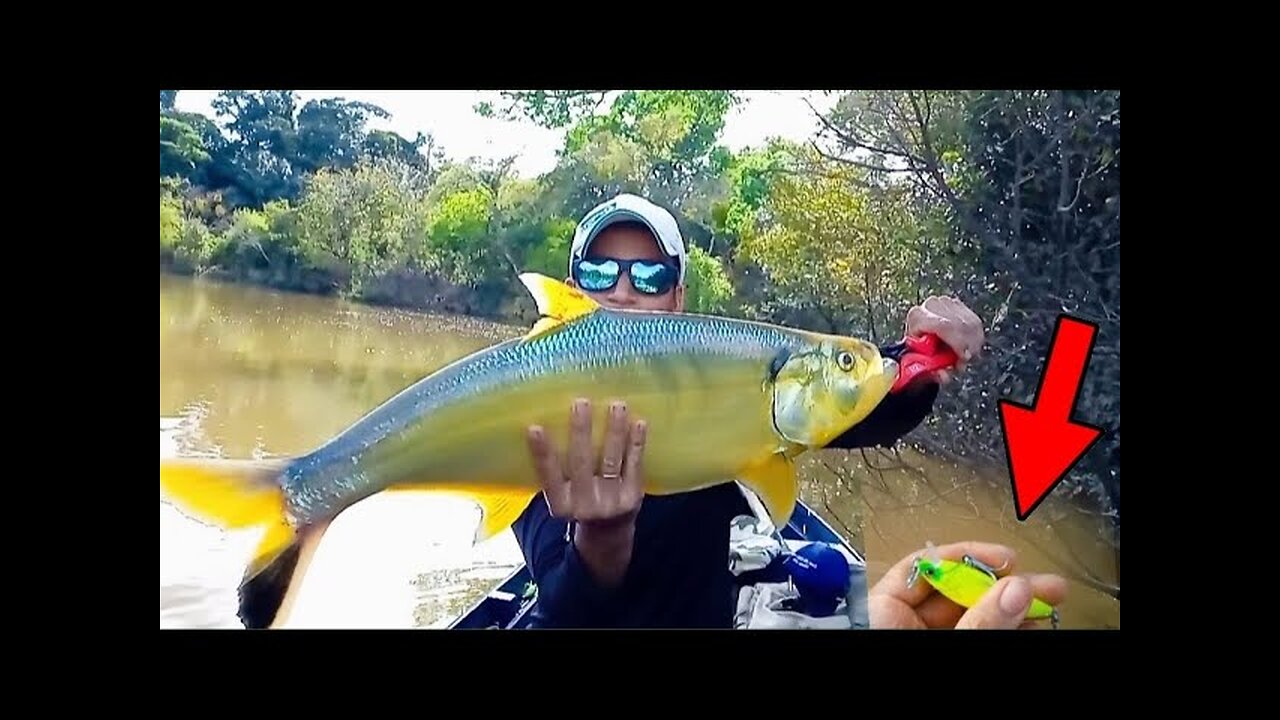 O peixe quase me levou pra água, mais consegui pegar, 70 centímetros 🎣...