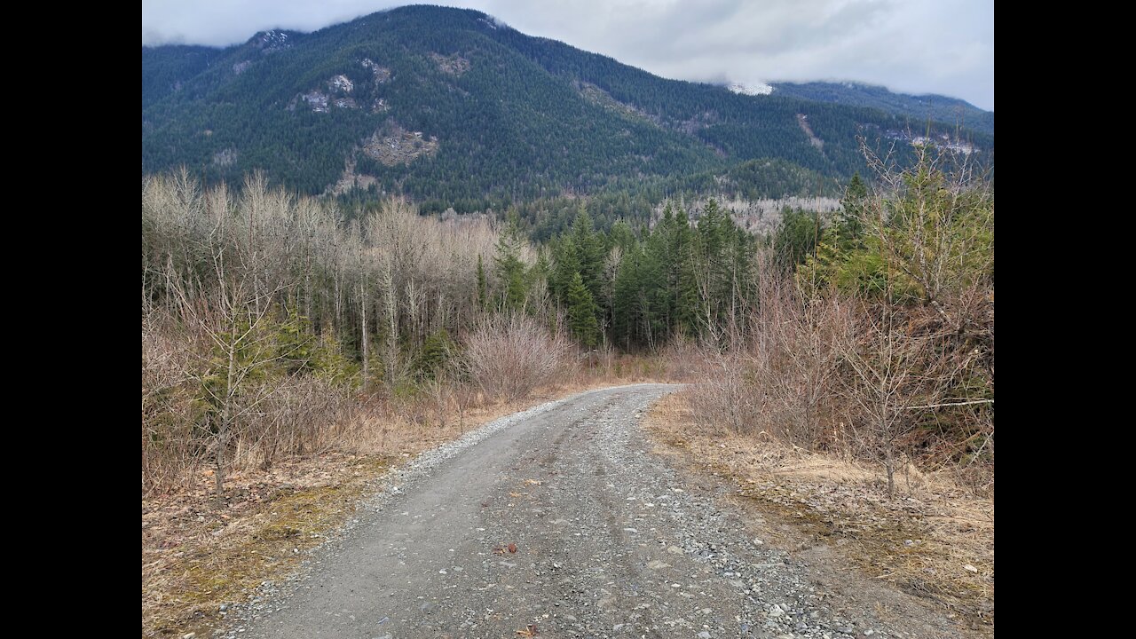 Cleaning up a logging road near Chilliwack Lake