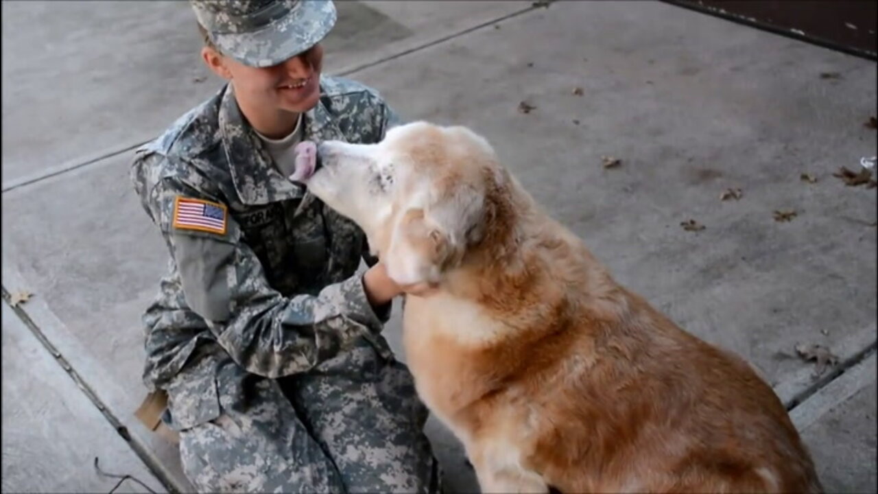 Dog reacts to soldier owner coming home for first time in three-and-a-half months