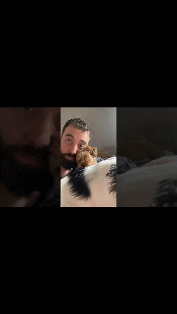 Lucky Man with #puppies #theverve #shorts