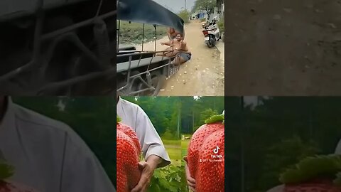 Amazing Driver in the Road #best #fyp #viral #viralvideo #md #jitu #thanks