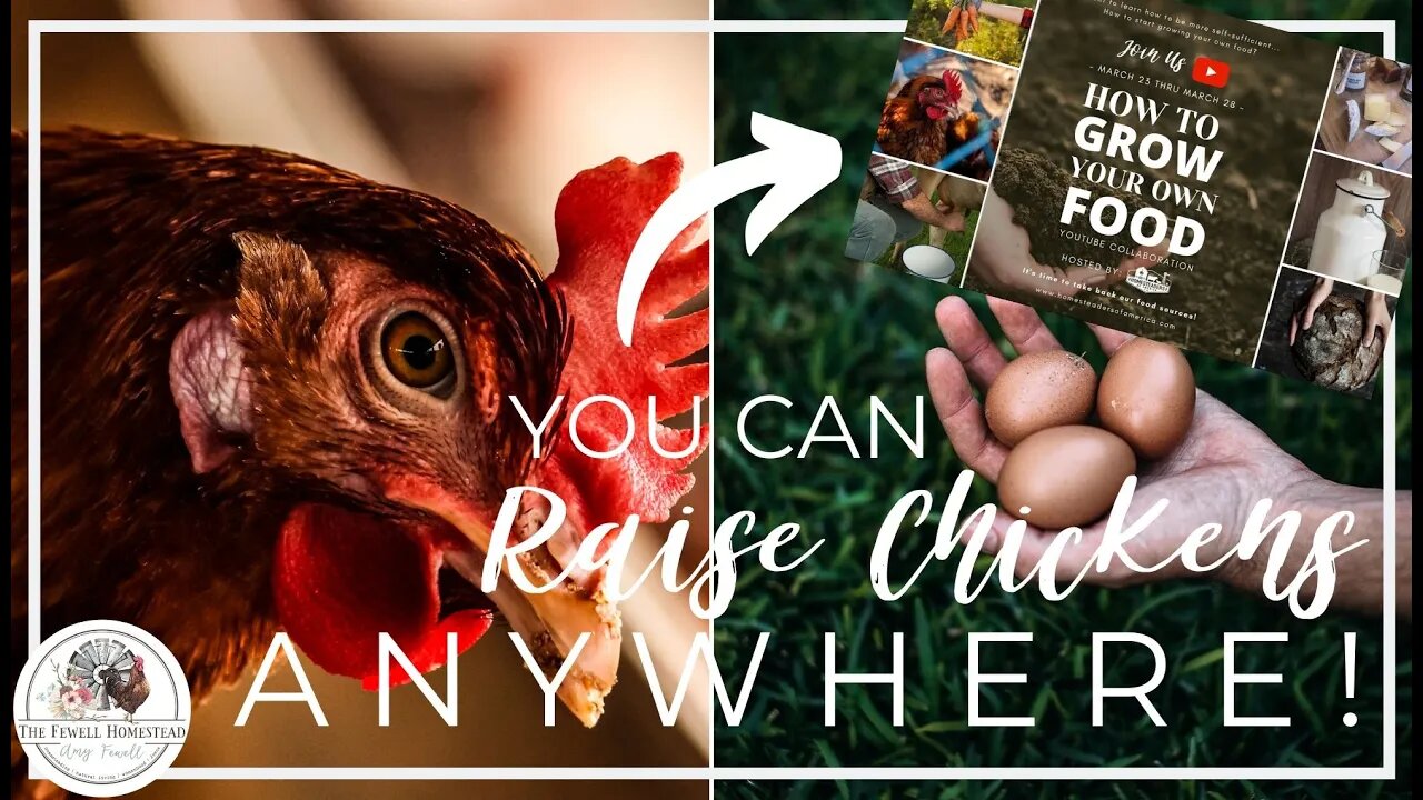 You Can Raise Chickens ANYWHERE! | How to GROW Your OWN Food Series