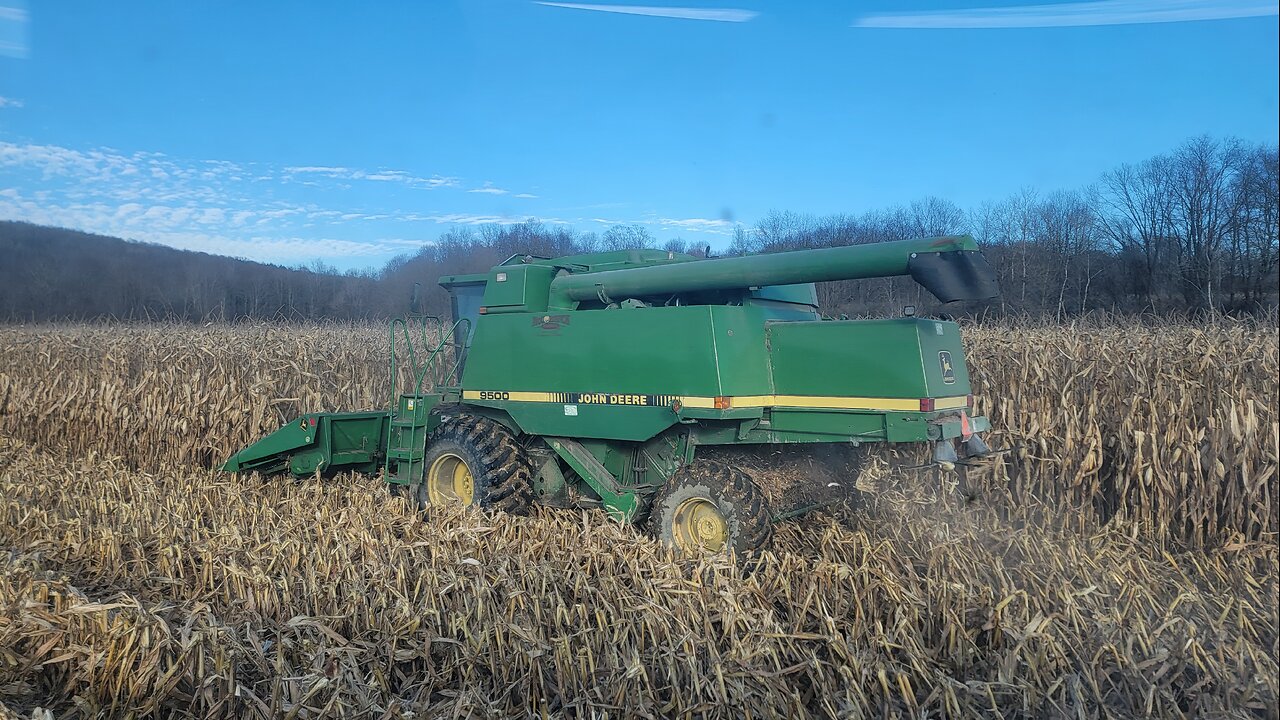 Corn Harvest 2023