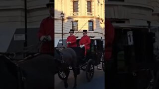 police escort horse and carriages #horseguardsparade