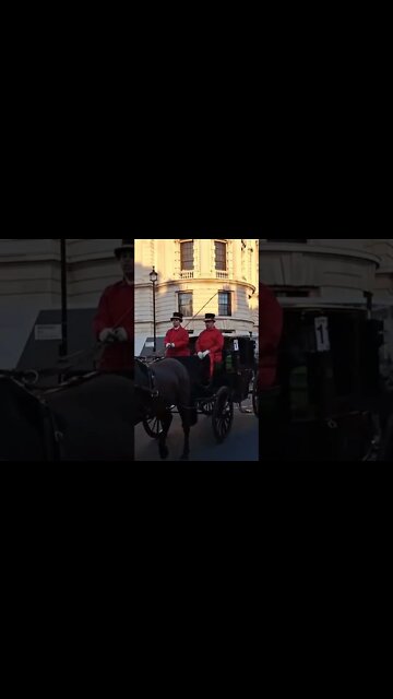 police escort horse and carriages #horseguardsparade