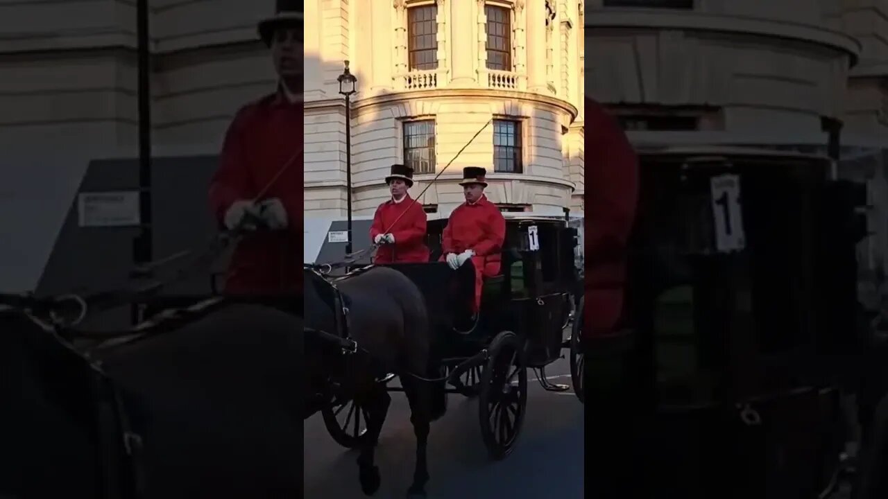 police escort horse and carriages #horseguardsparade