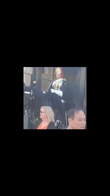 Lean on his boot and thinks it's funny #horseguardsparade