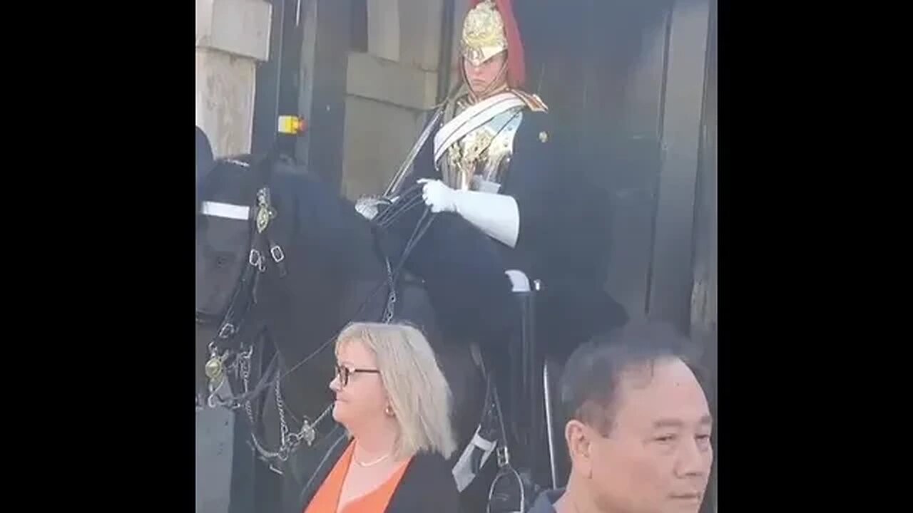 Lean on his boot and thinks it's funny #horseguardsparade