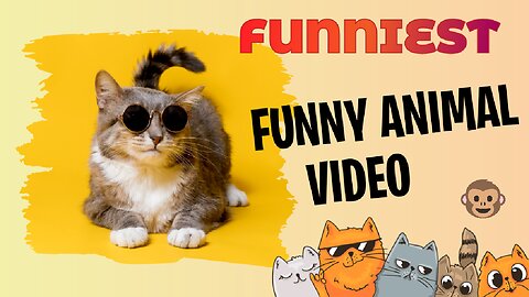 Funniest animal pets video cat dog