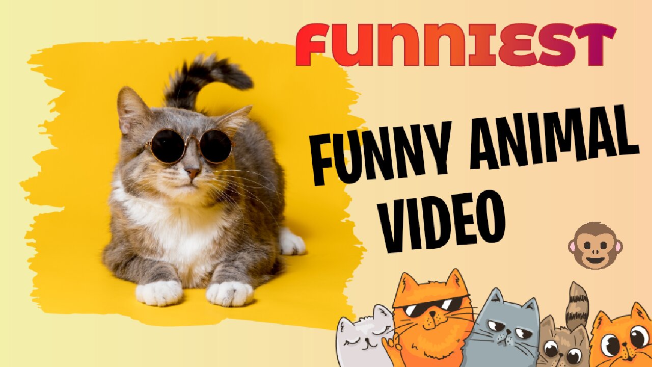 Funniest animal pets video cat dog