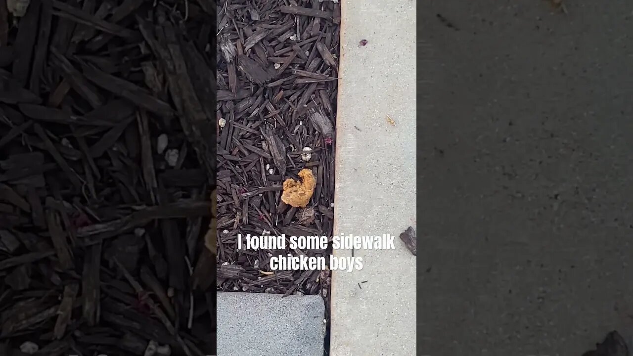 Mmm chicken #funnyvideo #cursed #meme #shortvideo #short #shorts #funny #funny #gaggleofidiots