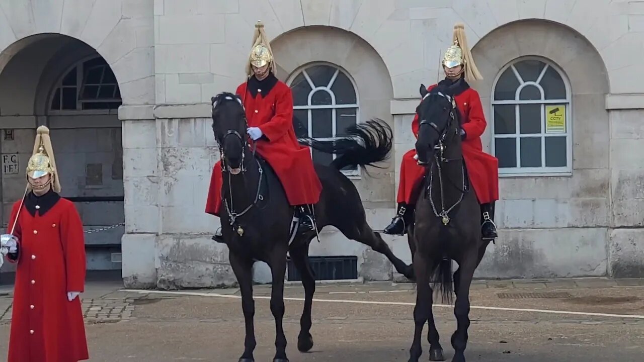 Horses kick each other changing of the guard #horseguardsparade