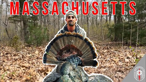 Massachusetts Gobbler Down in the last minutes of legal shooting hours