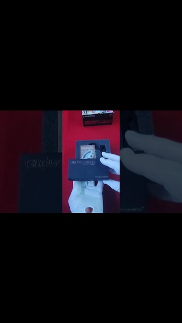 Growlanser Generations The Final Working Designs Game.