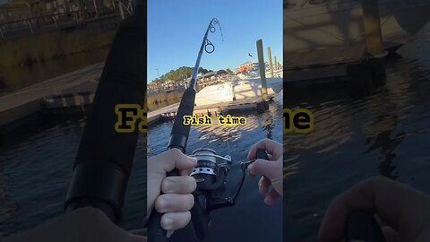 #viral #trending #shorts #fishing #tiktokvideo #fyp