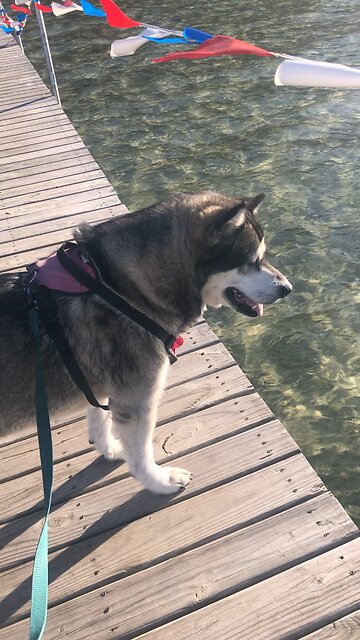 Wednesday Oct 16, He determines the course of world events