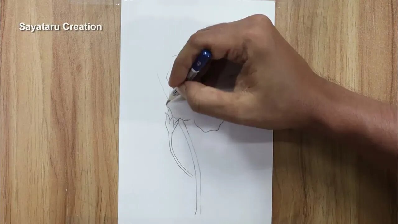 How to draw a hibiscus flower step by step pencil sketch