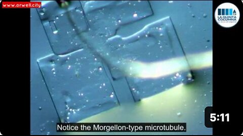 New images of microcircuitry in Pfizer vaccine