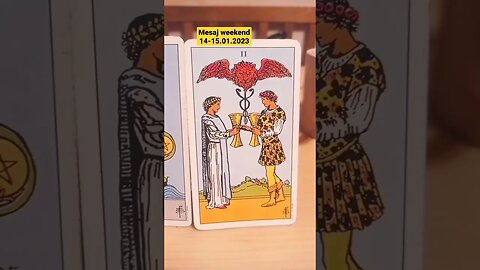 Mesajul pt weekend #tarotreading #zodii #2023