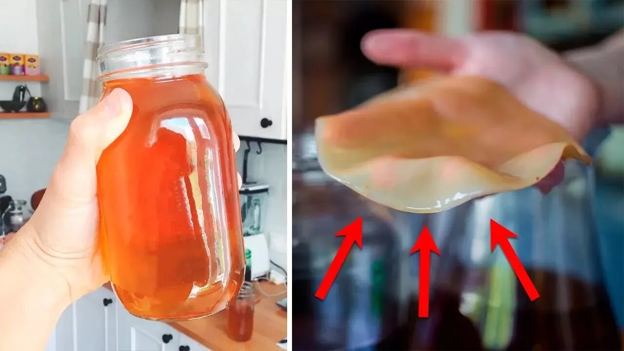 KOMBUCHA, O “ELIXIR DA IMORTALIDADE” E A BEBIDA DO BEM