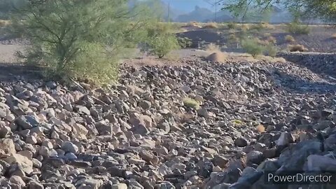 Thank You 3000 Subscribers Family & Friends RealTruthTalk 💯