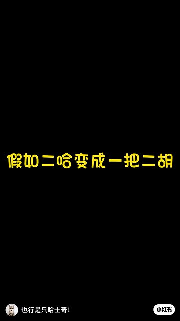 Funny Animals 2| Takamaga