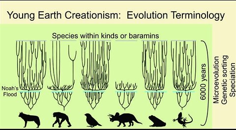 Teoria da evolução de Darwin, uma teoria em crise | PARTE 2